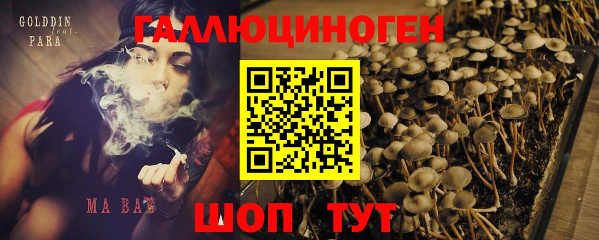 Калач-на-Дону  Псилоцибиновые грибы Magic Shrooms  Вход с VPN 